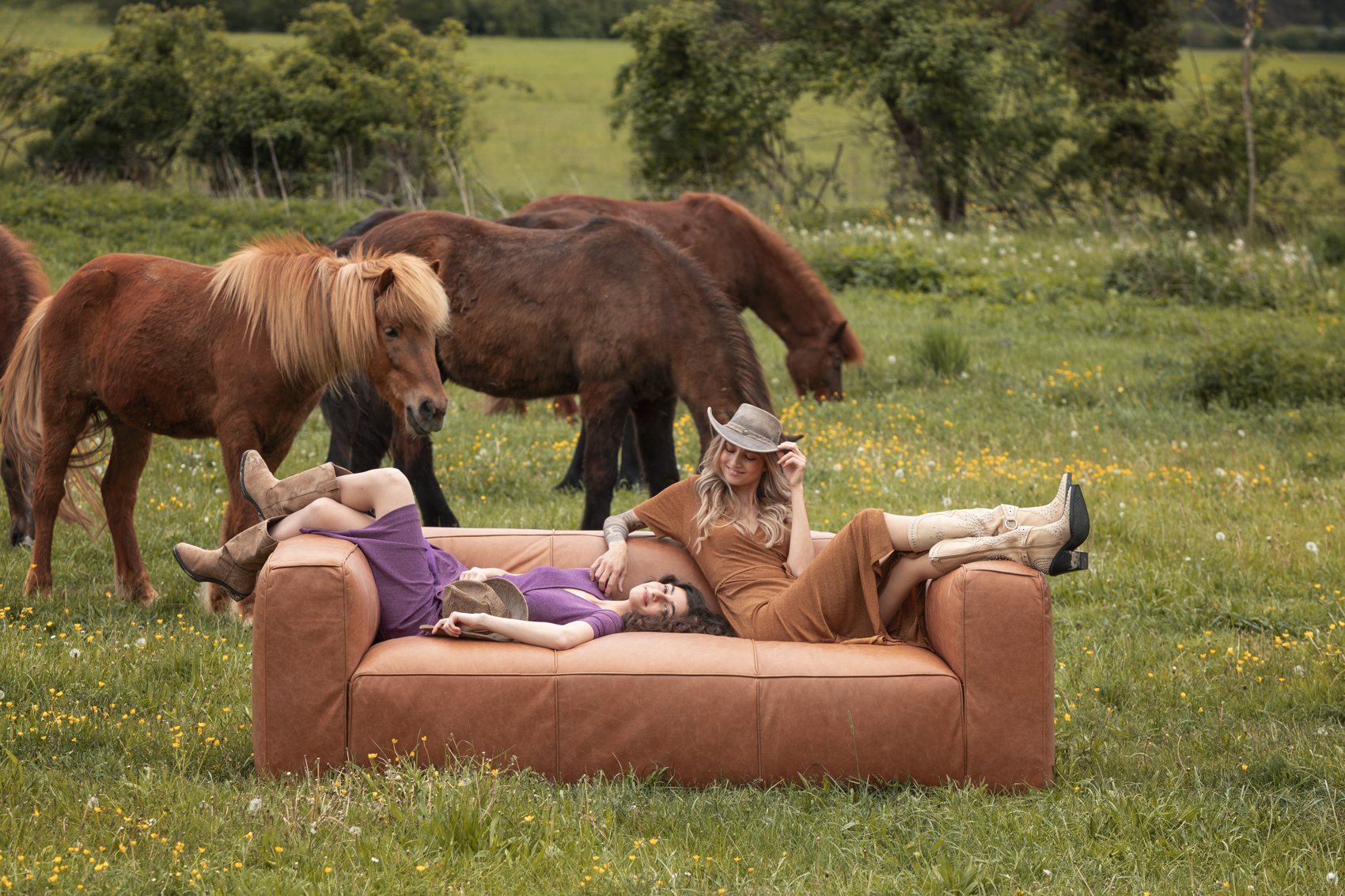 Pferde hinter einem Ledersofa auf der Weide